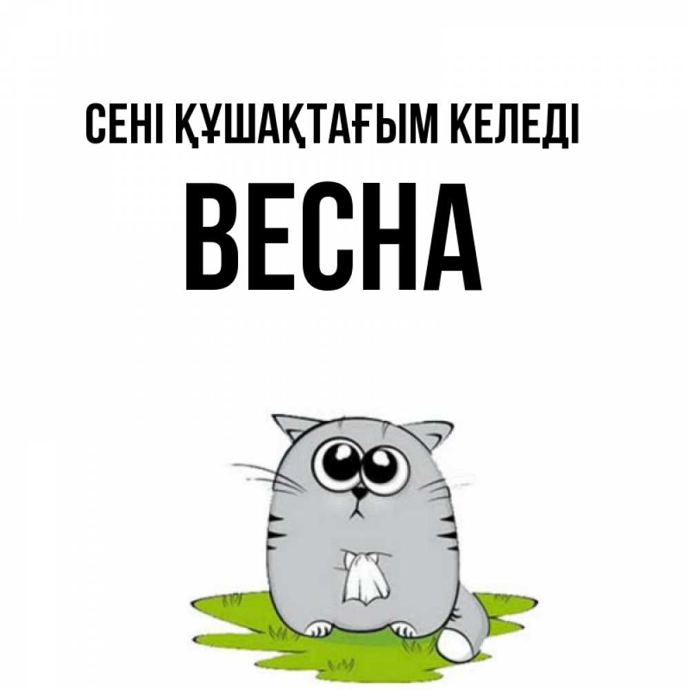 Күн сайын ашық хат с именем, Весна сені құшақтағым келеді котик теребит платочек сидя на травке Онлайн тегін жүктеп алу тілектері бар керемет карта 