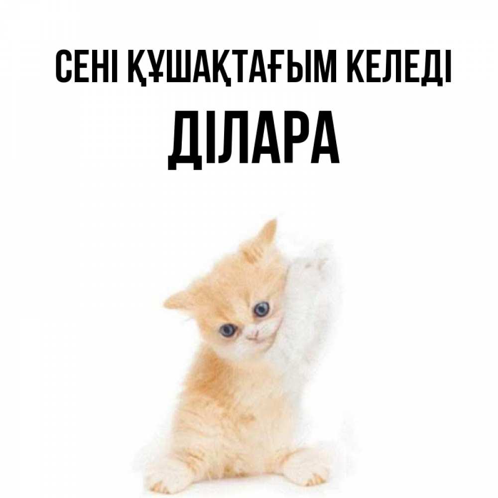 Күн сайын ашық хат с именем, ДІЛАРА сені құшақтағым келеді я хочу очень скорее обнимаешек Онлайн тегін жүктеп алу тілектері бар керемет карта 