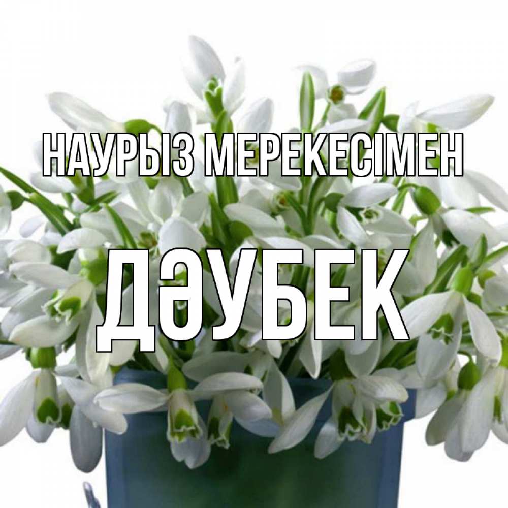 Күн сайын ашық хат с именем, Дәубек Наурыз мерекесімен цветы к наурызу новый год в Казахстане Онлайн тегін жүктеп алу тілектері бар керемет карта 