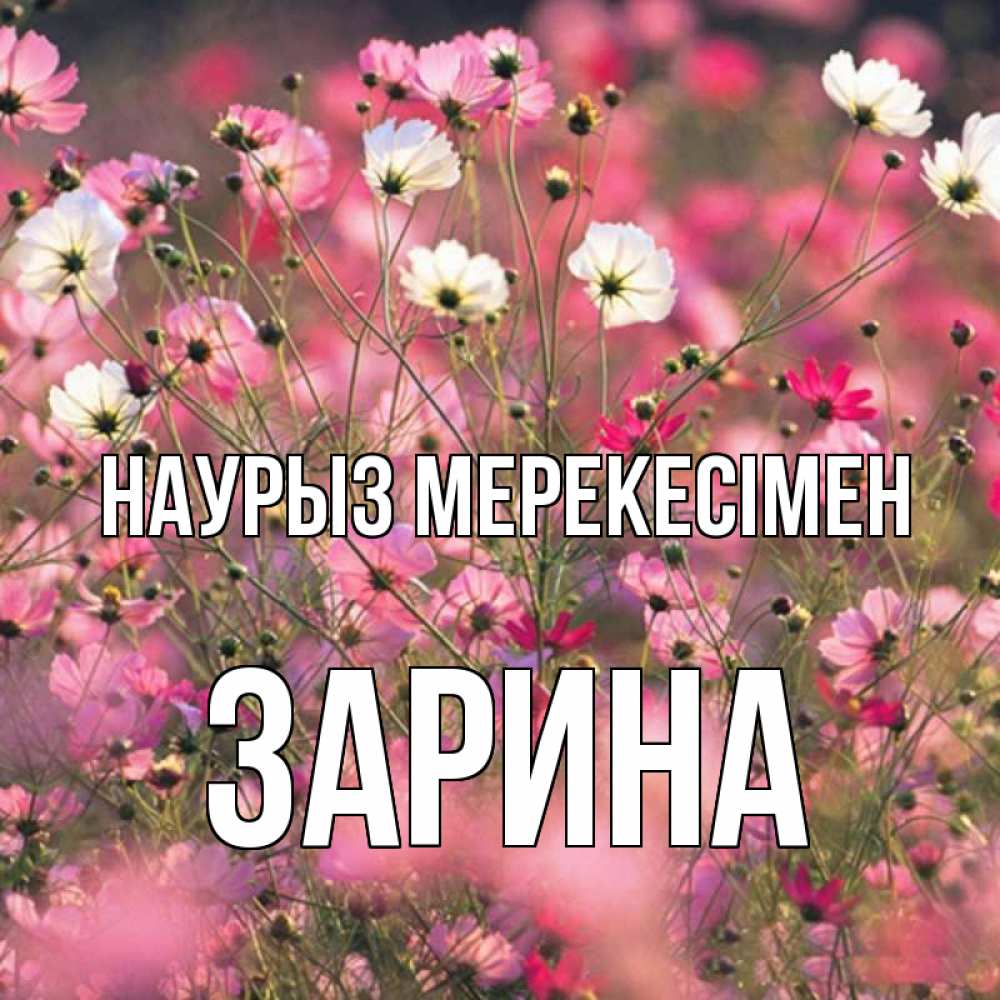 Күн сайын ашық хат с именем, ЗАРИНА Наурыз мерекесімен красиво 1 Онлайн тегін жүктеп алу тілектері бар керемет карта 