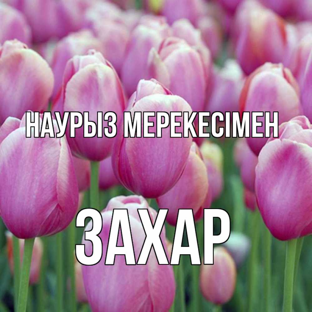 Күн сайын ашық хат с именем, Захар Наурыз мерекесімен праздник весны наурыз 69 Онлайн тегін жүктеп алу тілектері бар керемет карта 