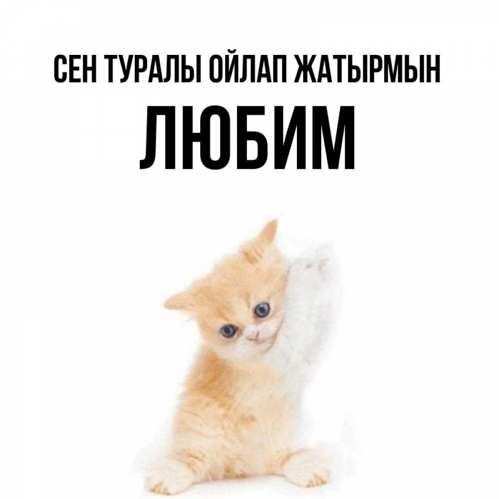 Күн сайын ашық хат с именем, Любим Сен туралы ойлап жатырмын зверушки и милота Онлайн тегін жүктеп алу тілектері бар керемет карта 