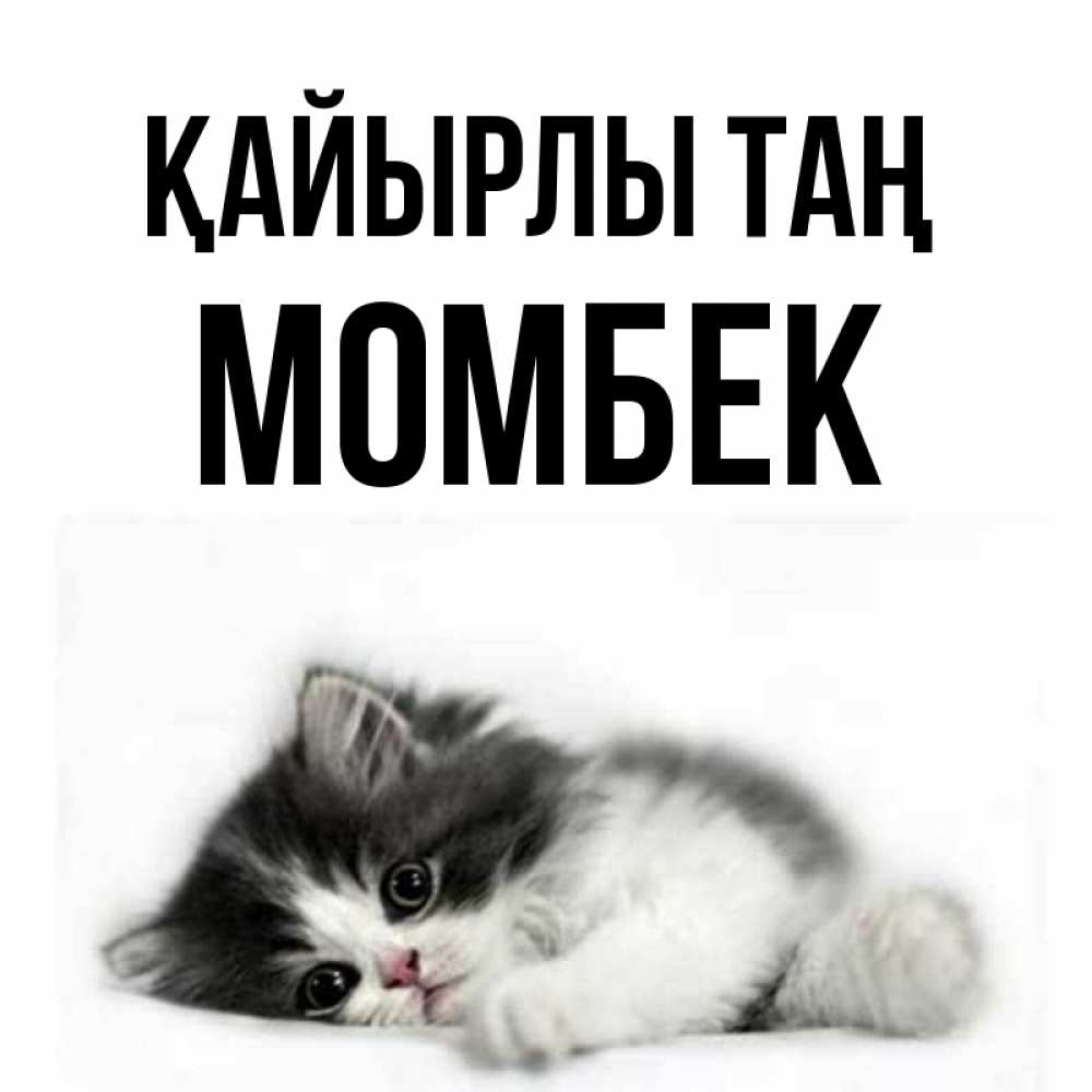 Күн сайын ашық хат с именем, МОМБЕК Қайырлы таң кот лапки Онлайн тегін жүктеп алу тілектері бар керемет карта 