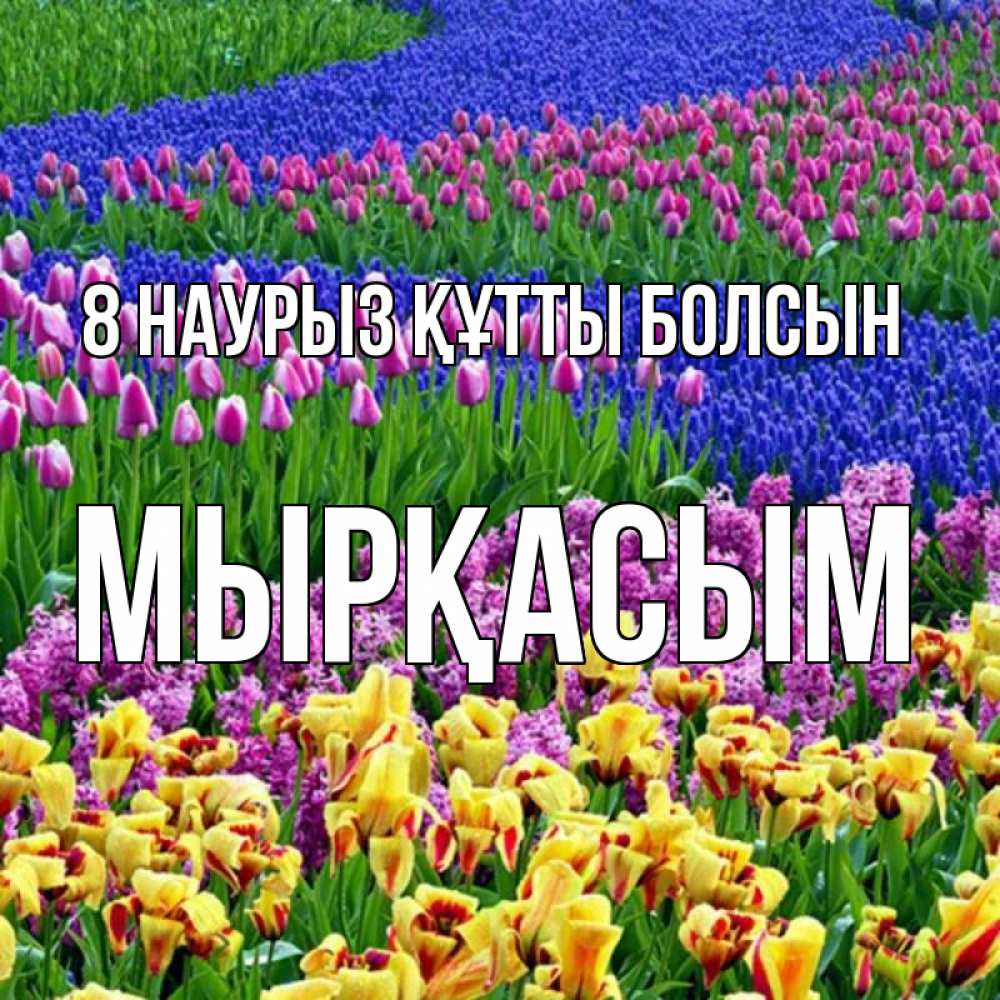 Күн сайын ашық хат с именем, МЫРҚАСЫМ 8 наурыз құтты болсын цветы Онлайн тегін жүктеп алу тілектері бар керемет карта 