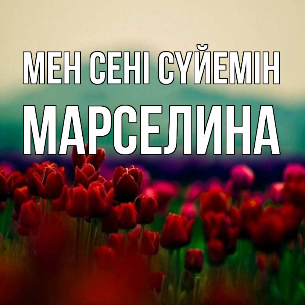 Күн сайын ашық хат с именем, Марселина Мен сені сүйемін тюльпаны 4 Онлайн тегін жүктеп алу тілектері бар керемет карта 