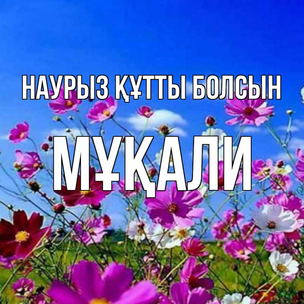 Күн сайын ашық хат с именем, МҰҚАЛИ Наурыз құтты болсын цветы Онлайн тегін жүктеп алу тілектері бар керемет карта 