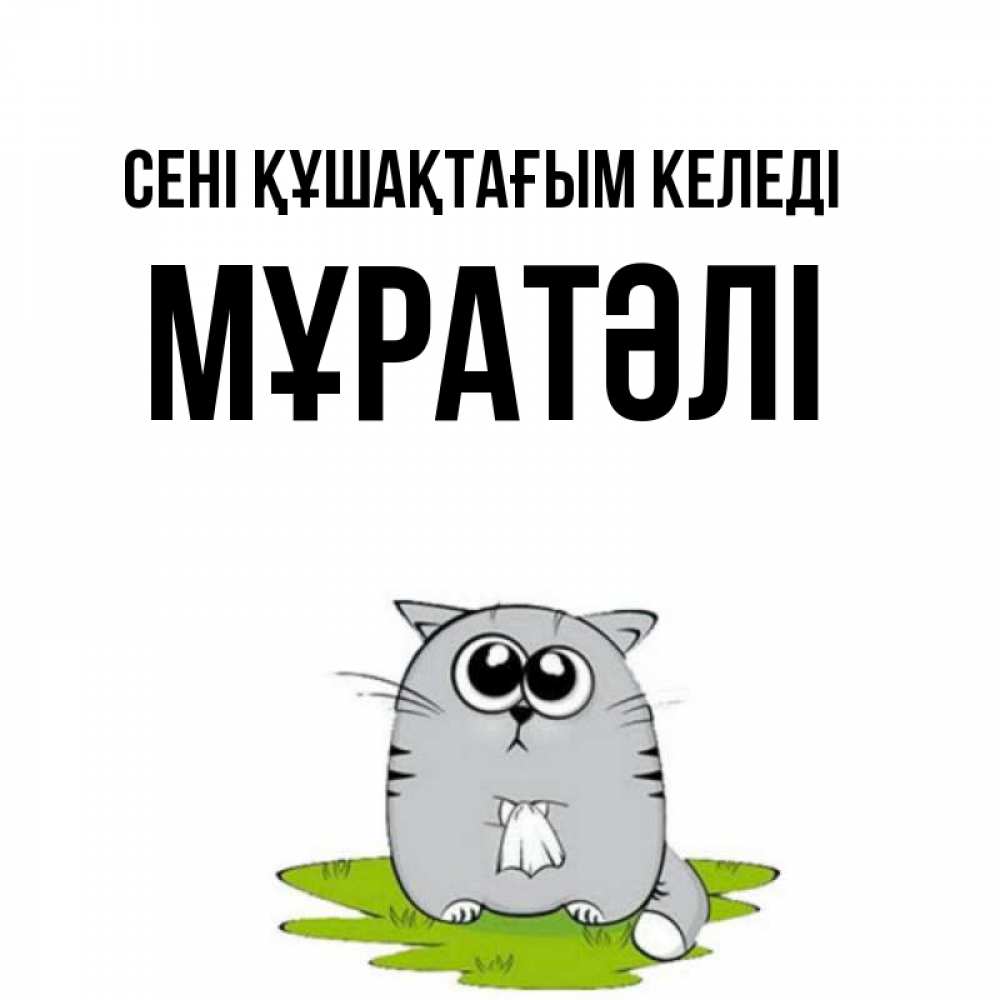 Күн сайын ашық хат с именем, Мұратәлі сені құшақтағым келеді котик теребит платочек сидя на травке Онлайн тегін жүктеп алу тілектері бар керемет карта 