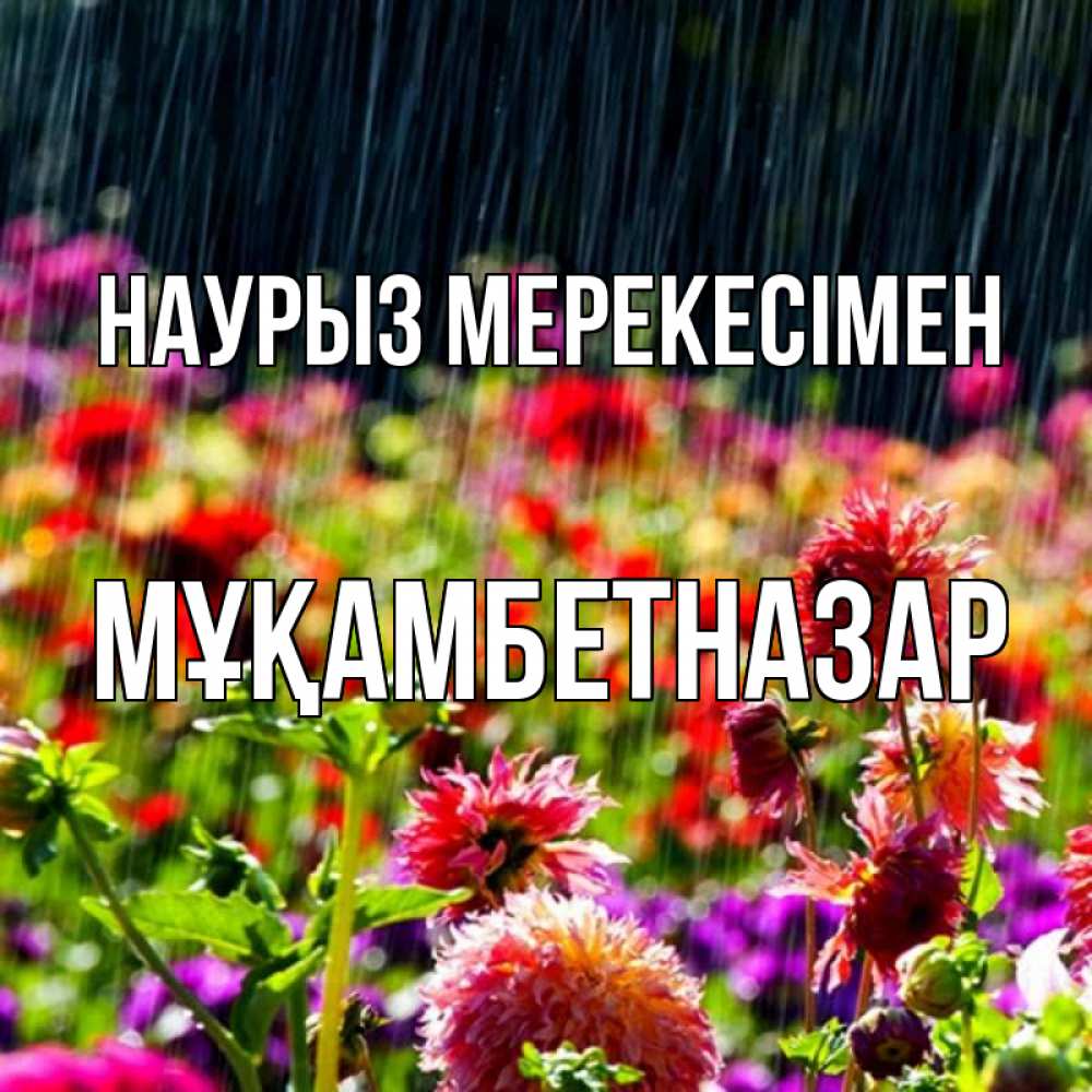Күн сайын ашық хат с именем, Мұқамбетназар Наурыз мерекесімен цветы под дождиком к международному женскому дню Онлайн тегін жүктеп алу тілектері бар керемет карта 