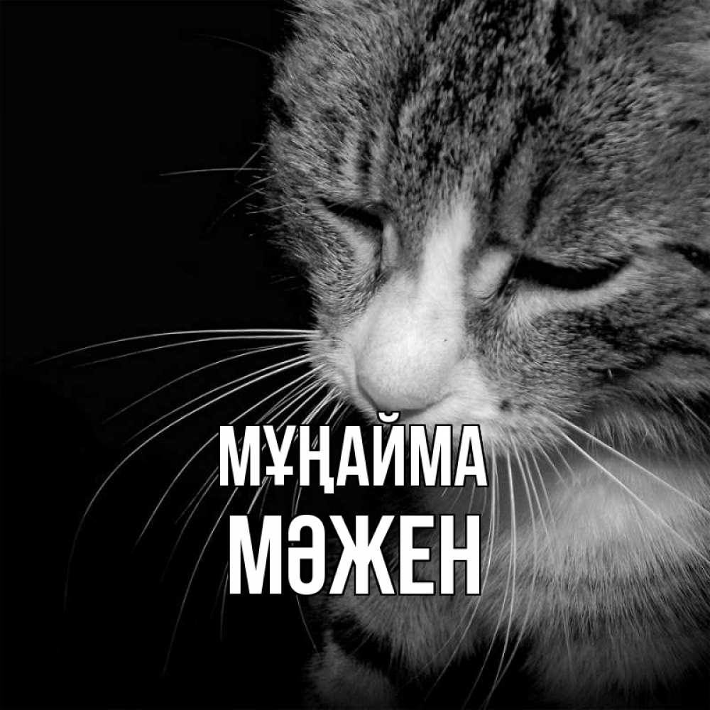 Күн сайын ашық хат с именем, МӘЖЕН Мұңайма грустный котик Онлайн тегін жүктеп алу тілектері бар керемет карта 
