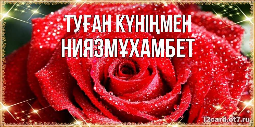 Күн сайын ашық хат с именем, НИЯЗМҰХАМБЕТ Туған күніңмен роса и роза. открытка с красивой розой Онлайн тегін жүктеп алу тілектері бар керемет карта 