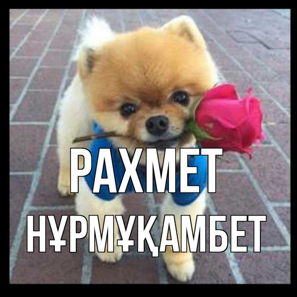 Күн сайын ашық хат с именем, НҰРМҰҚАМБЕТ рахмет спасибо и дарю тебе цветок Онлайн тегін жүктеп алу тілектері бар керемет карта 