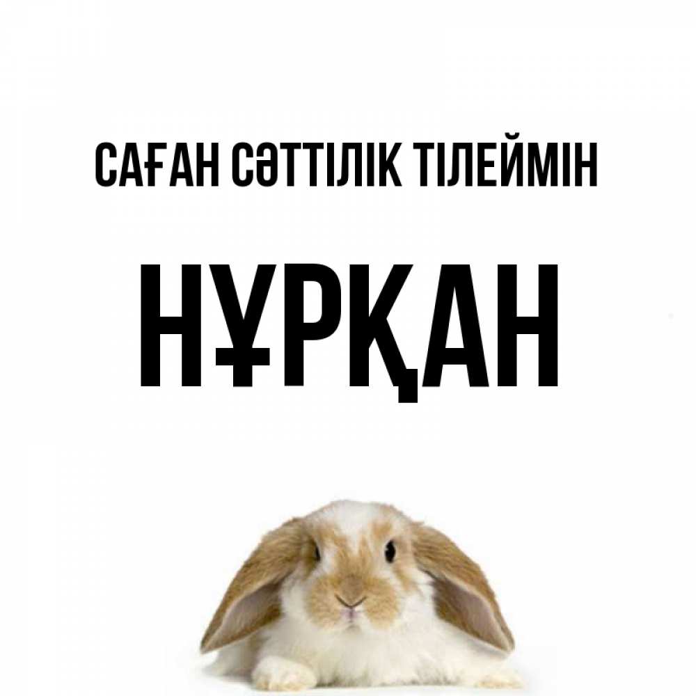 Күн сайын ашық хат с именем, Нұрқан Саған сәттілік тілеймін открытки с произвольным текстом который можно вставить в открытку и создать ее самостоятельно бесплатно онлайн Онлайн тегін жүктеп алу тілектері бар керемет карта 