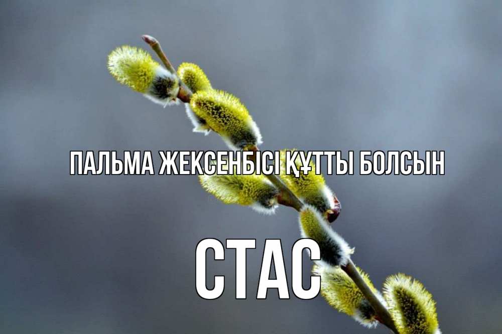 Күн сайын ашық хат с именем, Стас Пальма жексенбісі құтты болсын верба Онлайн тегін жүктеп алу тілектері бар керемет карта 