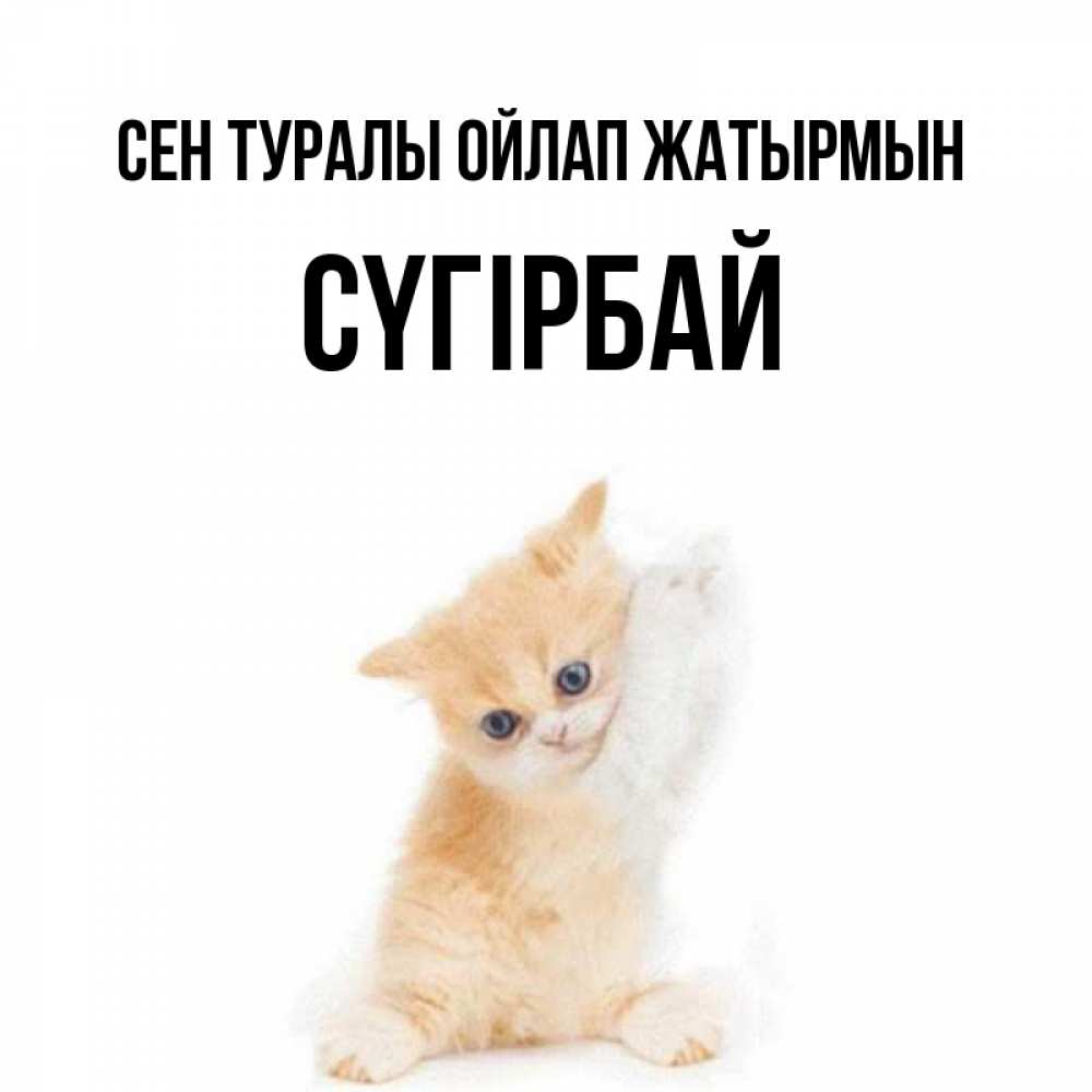 Күн сайын ашық хат с именем, СҮГІРБАЙ Сен туралы ойлап жатырмын зверушки и милота Онлайн тегін жүктеп алу тілектері бар керемет карта 