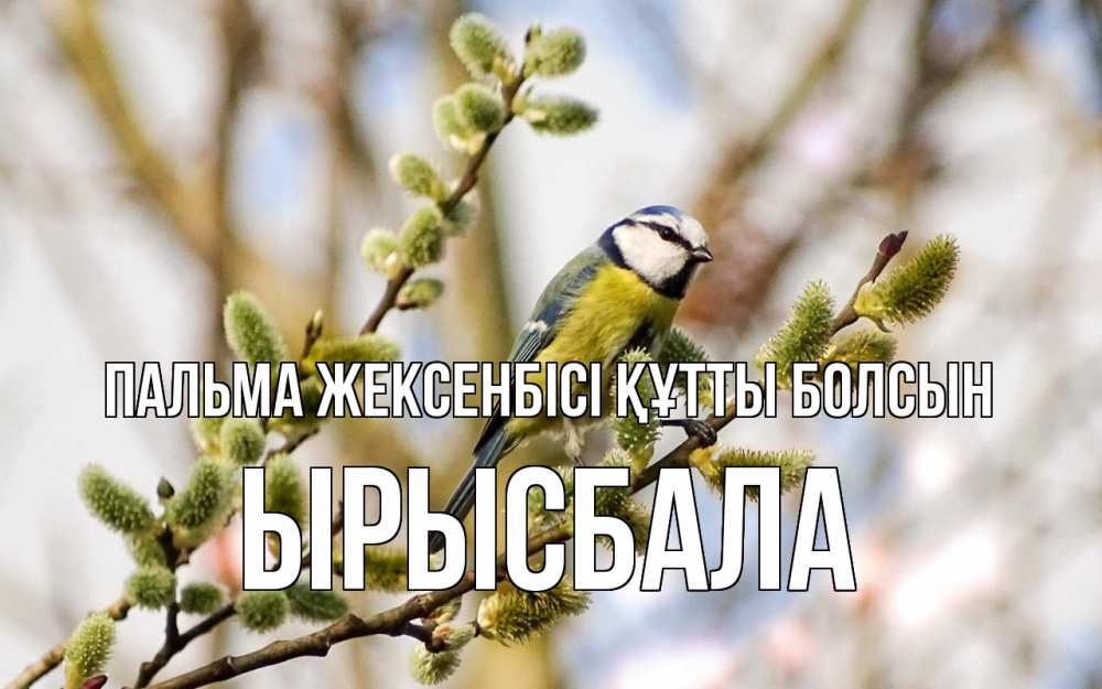 Күн сайын ашық хат с именем, ЫРЫСБАЛА Пальма жексенбісі құтты болсын верба Онлайн тегін жүктеп алу тілектері бар керемет карта 