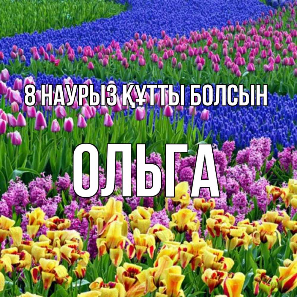Күн сайын ашық хат с именем, Ольга 8 наурыз құтты болсын цветы Онлайн тегін жүктеп алу тілектері бар керемет карта 