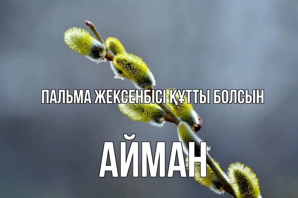 Күн сайын ашық хат с именем, АЙМАН Пальма жексенбісі құтты болсын верба Онлайн тегін жүктеп алу тілектері бар керемет карта 