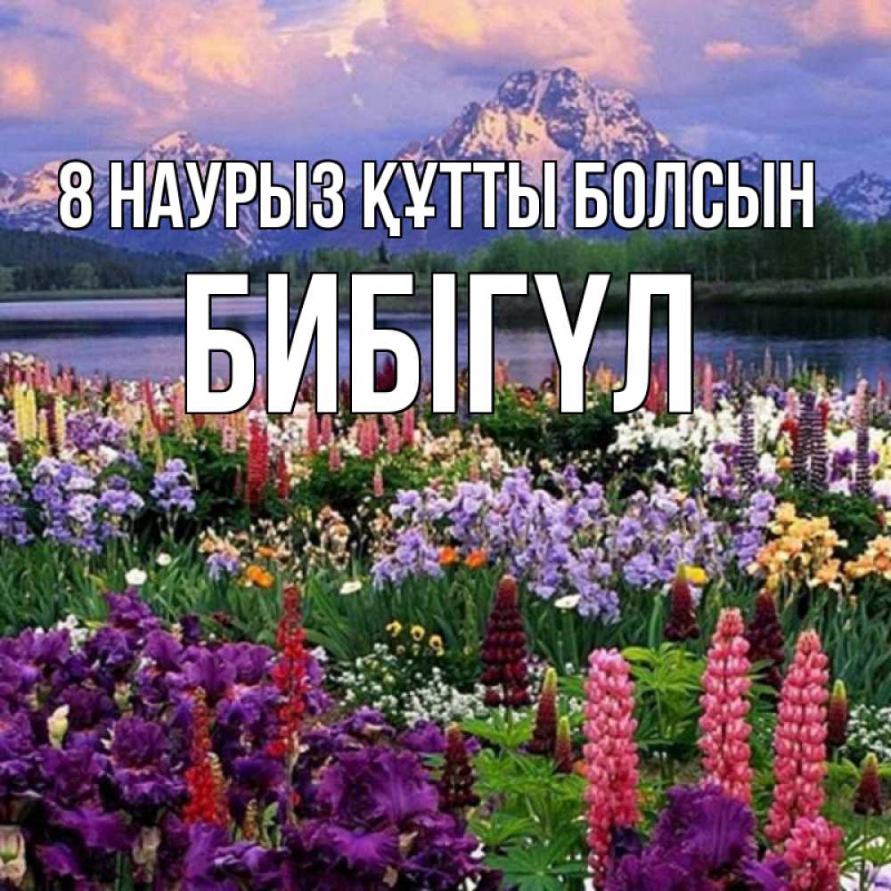Күн сайын ашық хат с именем, БИБІГҮЛ 8 наурыз құтты болсын международный женский день Онлайн тегін жүктеп алу тілектері бар керемет карта 