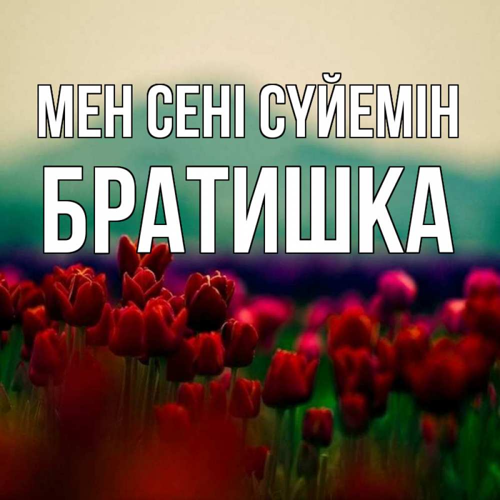 Күн сайын ашық хат с именем, Братишка Мен сені сүйемін тюльпаны 4 Онлайн тегін жүктеп алу тілектері бар керемет карта 