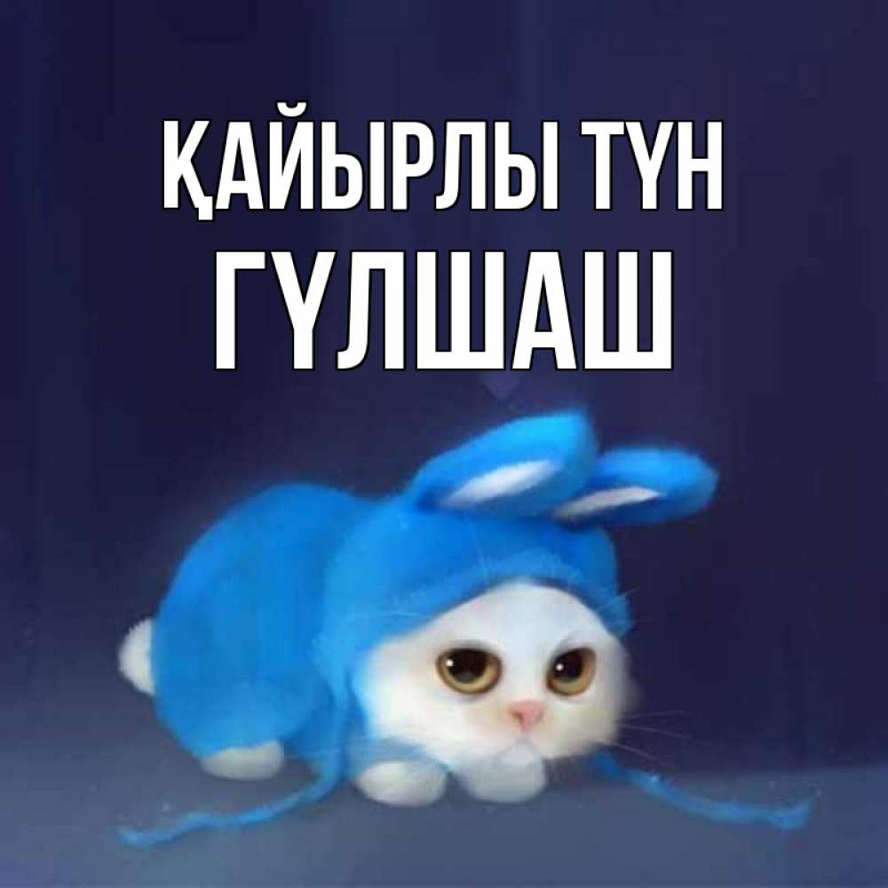 Күн сайын ашық хат с именем, ГҮЛШАШ Қайырлы түн кот в голубом костюме кролика с ушками Онлайн тегін жүктеп алу тілектері бар керемет карта 