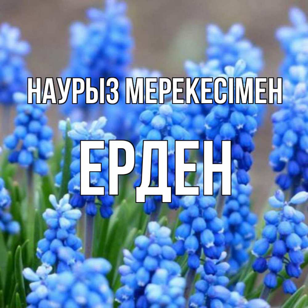 Күн сайын ашық хат с именем, Ерден Наурыз мерекесімен Поздравительная открытка для женщин с цветами на праздничную дату Онлайн тегін жүктеп алу тілектері бар керемет карта 