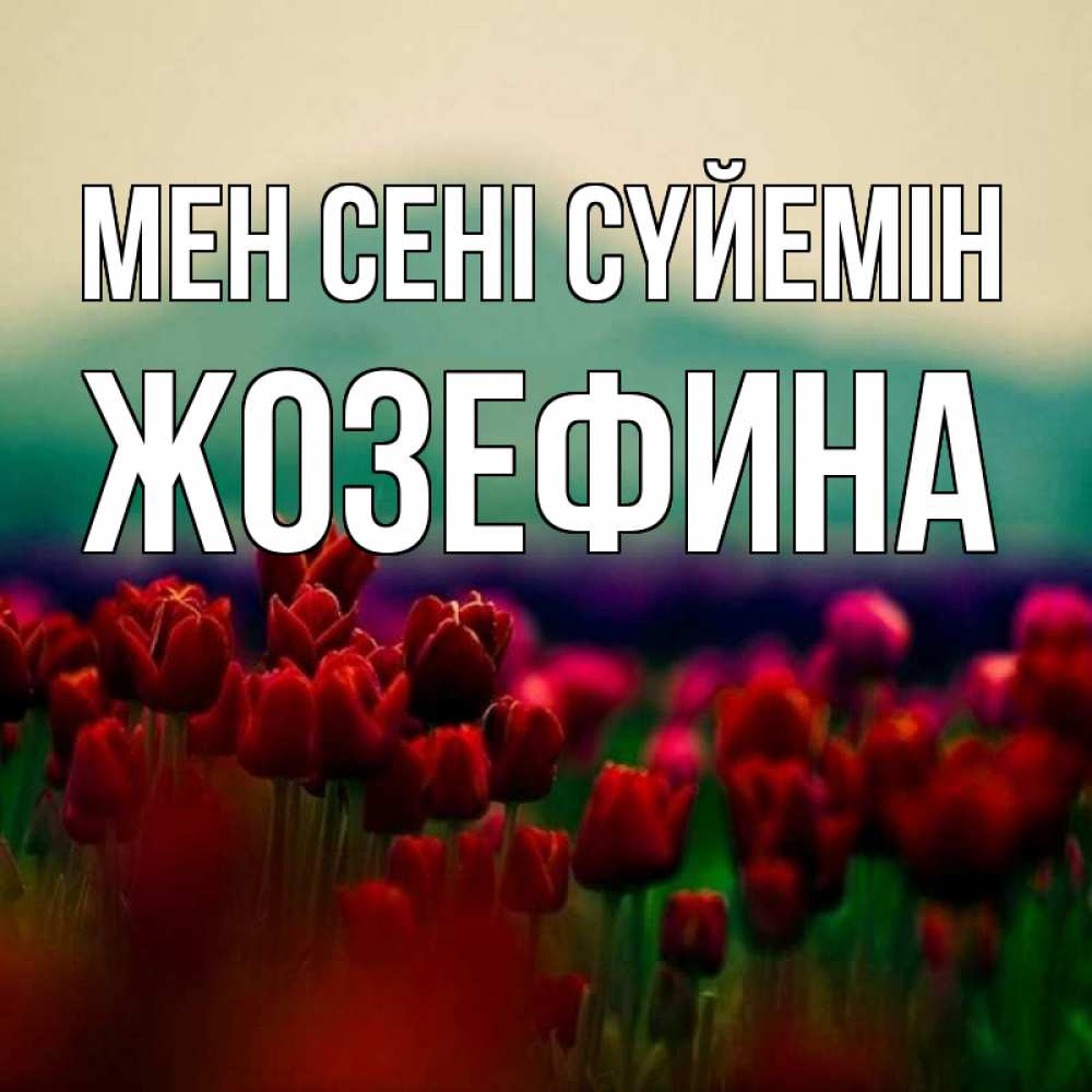 Күн сайын ашық хат с именем, Жозефина Мен сені сүйемін тюльпаны 4 Онлайн тегін жүктеп алу тілектері бар керемет карта 
