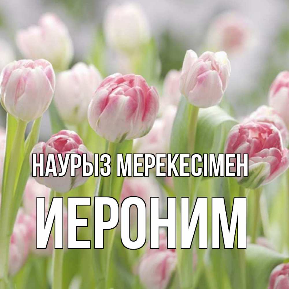 Күн сайын ашық хат с именем, Иероним Наурыз мерекесімен цветы Онлайн тегін жүктеп алу тілектері бар керемет карта 
