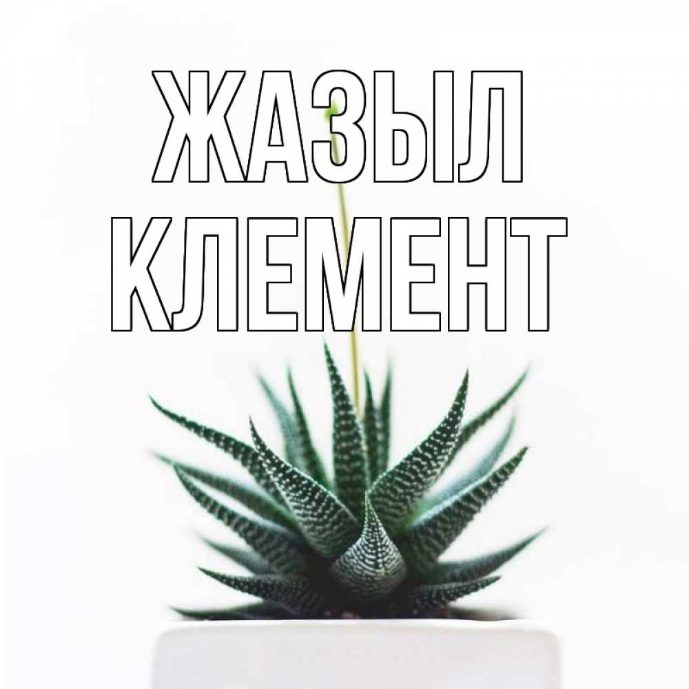 Күн сайын ашық хат с именем, Клемент Жазыл короче это непонятная колючка Онлайн тегін жүктеп алу тілектері бар керемет карта 