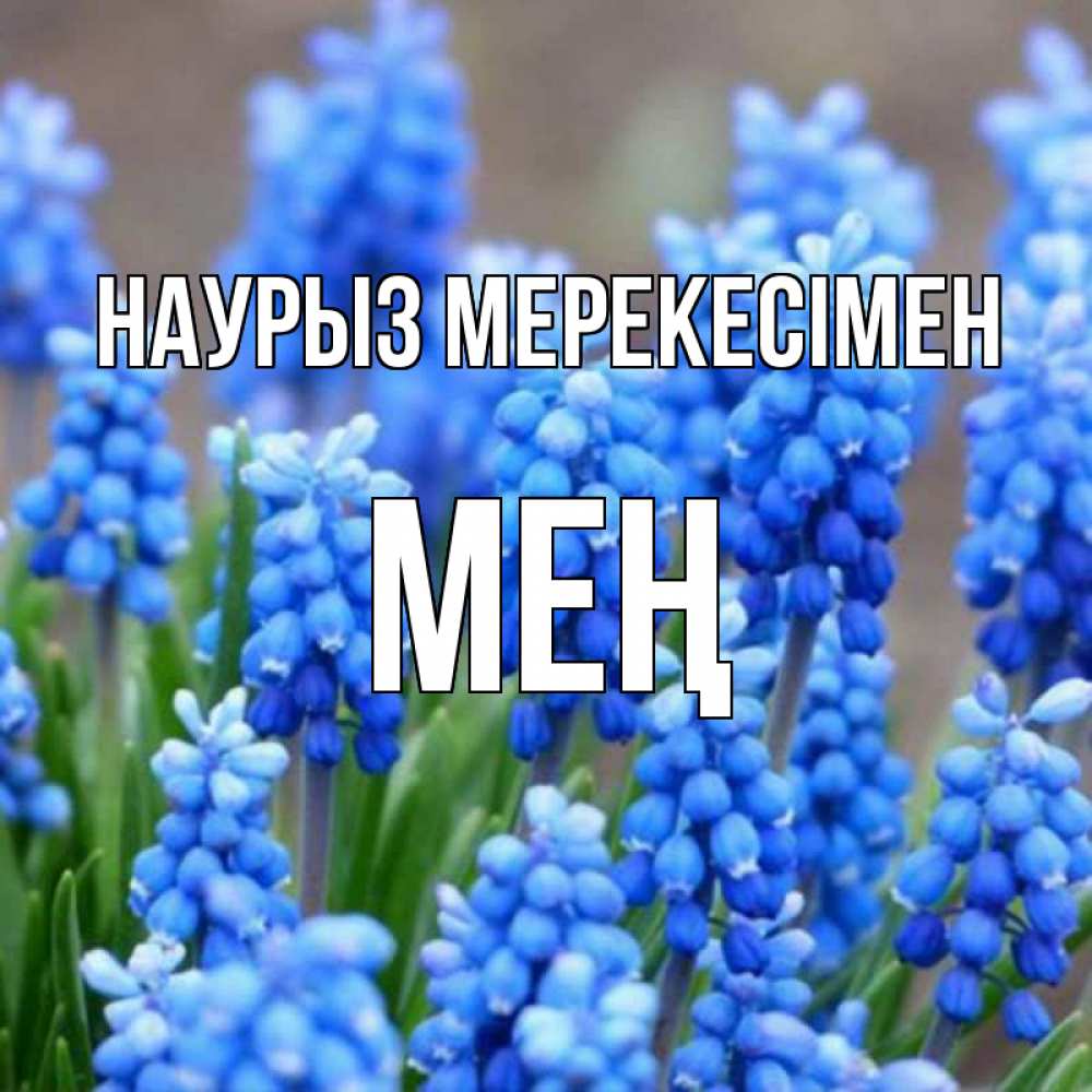 Күн сайын ашық хат с именем, МЕҢ Наурыз мерекесімен Поздравительная открытка для женщин с цветами на праздничную дату Онлайн тегін жүктеп алу тілектері бар керемет карта 
