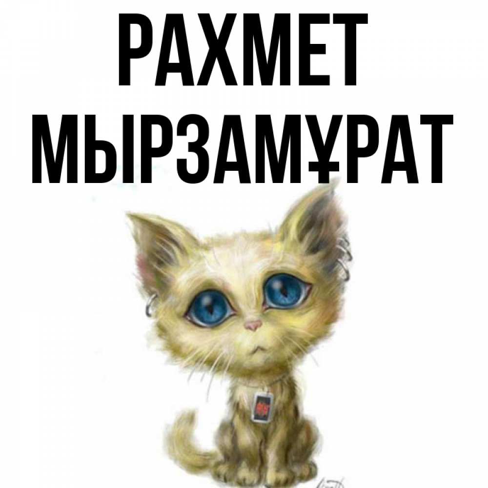 Күн сайын ашық хат с именем, Мырзамұрат рахмет рисованный кот благодарит вас Онлайн тегін жүктеп алу тілектері бар керемет карта 