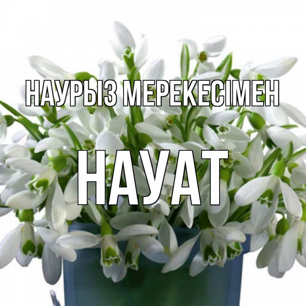 Күн сайын ашық хат с именем, НАУАТ Наурыз мерекесімен цветы к наурызу новый год в Казахстане Онлайн тегін жүктеп алу тілектері бар керемет карта 