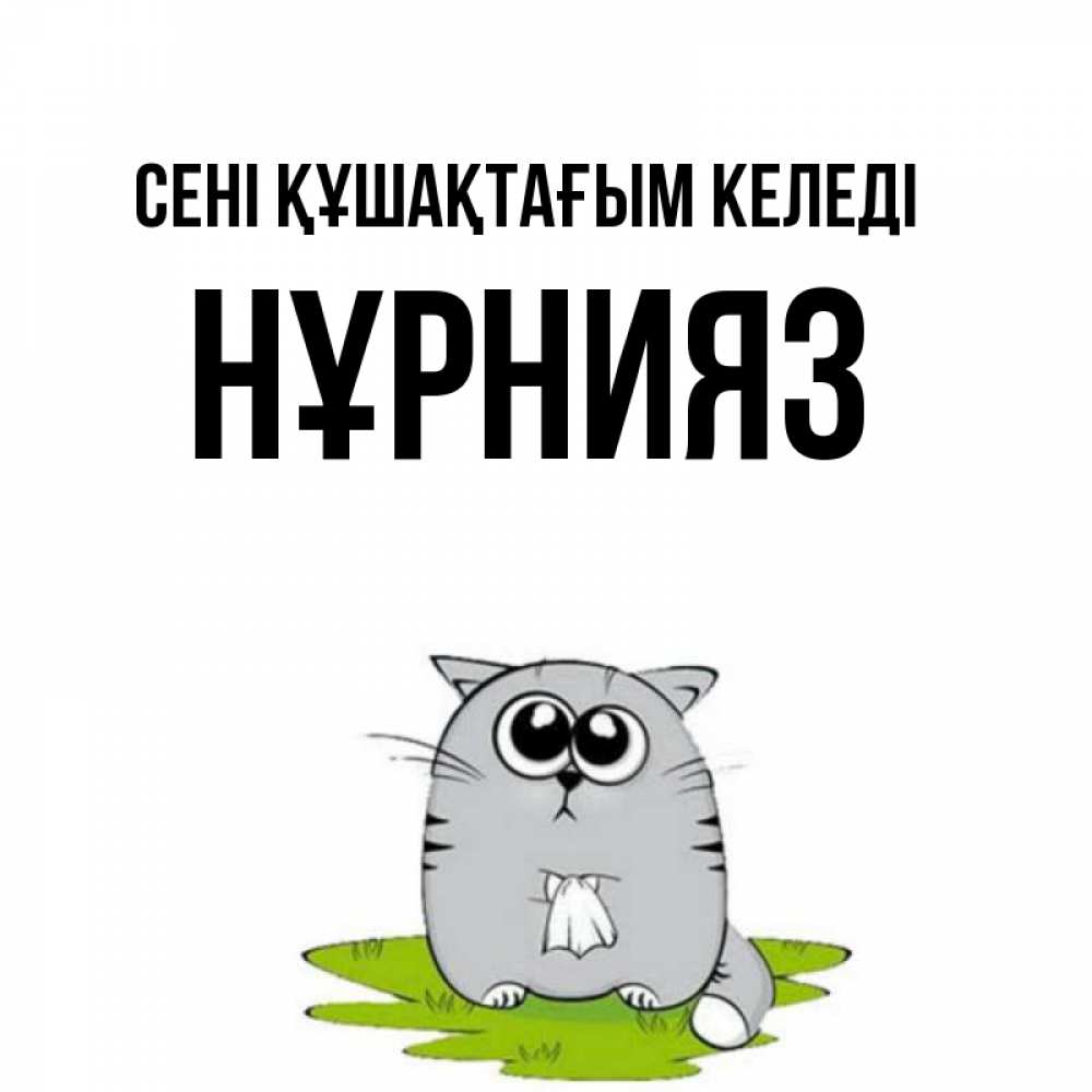 Күн сайын ашық хат с именем, НҰРНИЯЗ сені құшақтағым келеді котик теребит платочек сидя на травке Онлайн тегін жүктеп алу тілектері бар керемет карта 