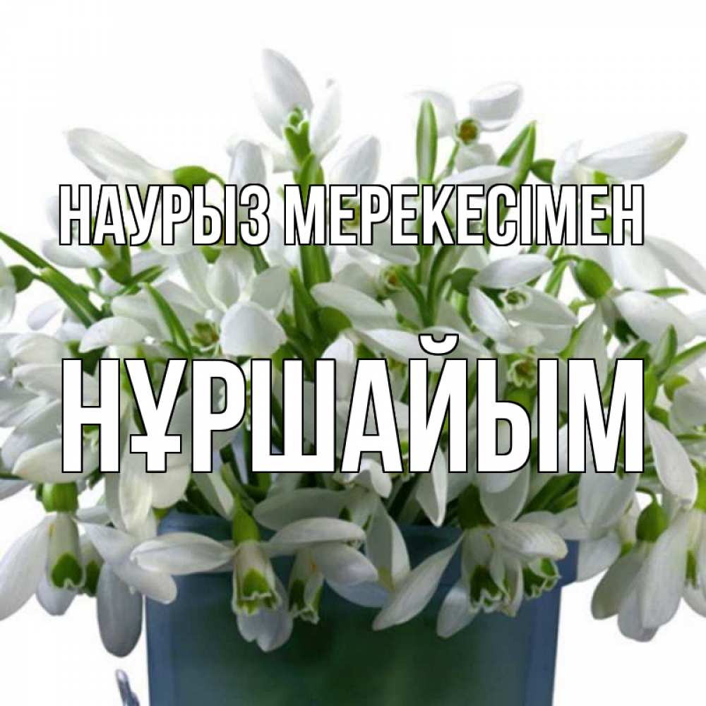 Күн сайын ашық хат с именем, НҰРШАЙЫМ Наурыз мерекесімен цветы к наурызу новый год в Казахстане Онлайн тегін жүктеп алу тілектері бар керемет карта 