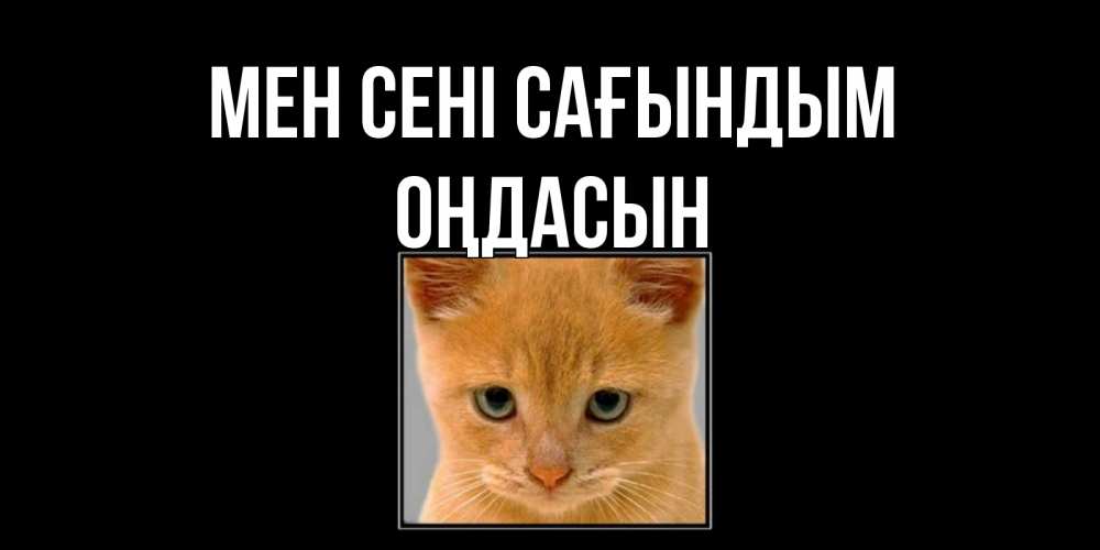 Күн сайын ашық хат с именем, ОҢДАСЫН Мен сені сағындым открытки рыжий котенок скучает по тебе Онлайн тегін жүктеп алу тілектері бар керемет карта 
