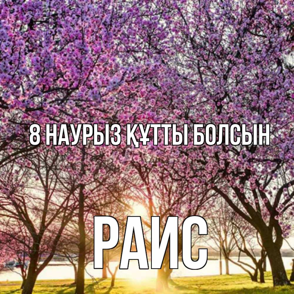 Күн сайын ашық хат с именем, Раис 8 наурыз құтты болсын международный женский день Онлайн тегін жүктеп алу тілектері бар керемет карта 