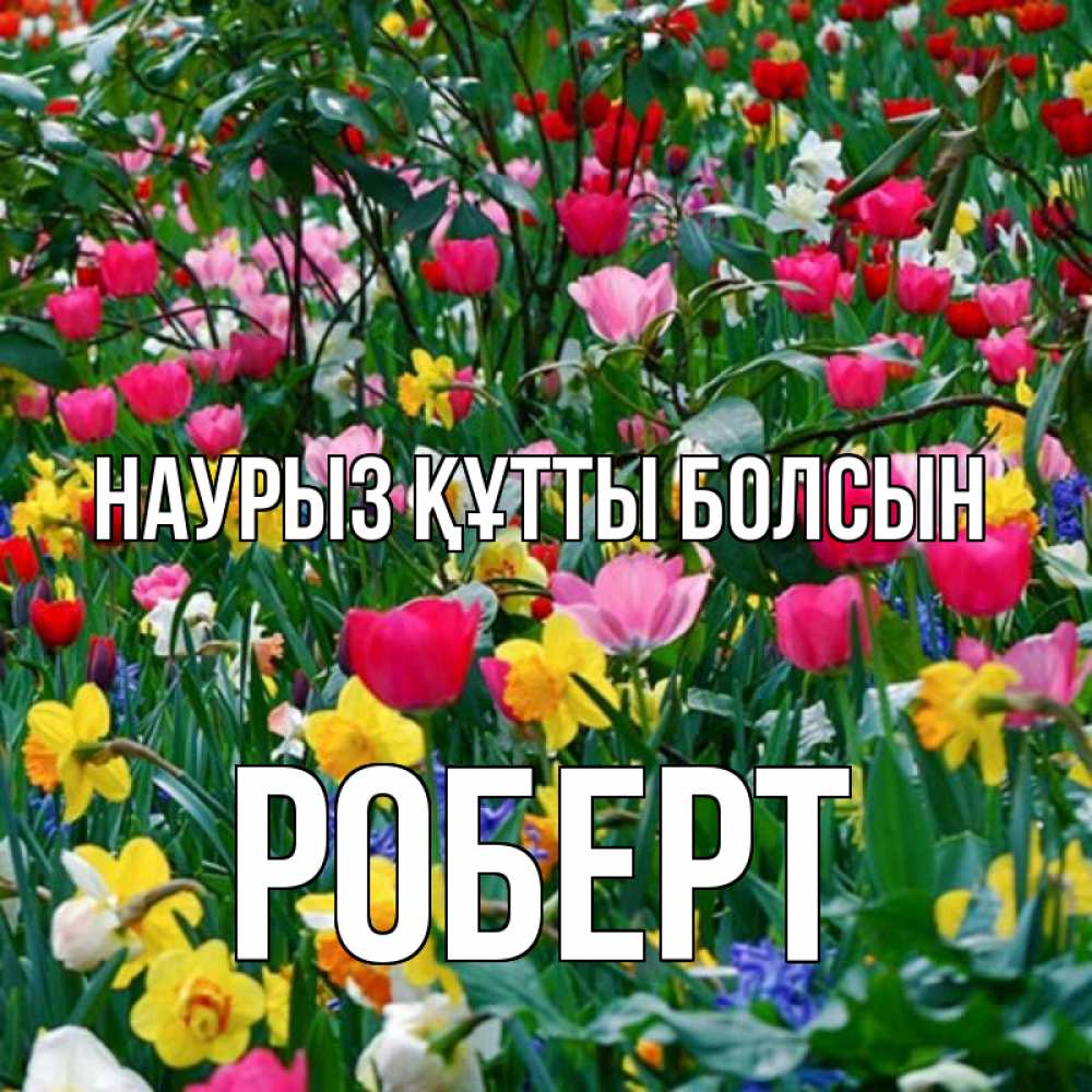 Күн сайын ашық хат с именем, Роберт Наурыз құтты болсын с наурызом поздравления для женщины Онлайн тегін жүктеп алу тілектері бар керемет карта 