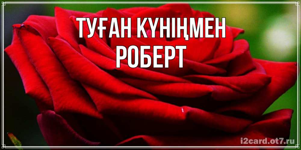 Күн сайын ашық хат с именем, Роберт Туған күніңмен розочка очень красивая Онлайн тегін жүктеп алу тілектері бар керемет карта 