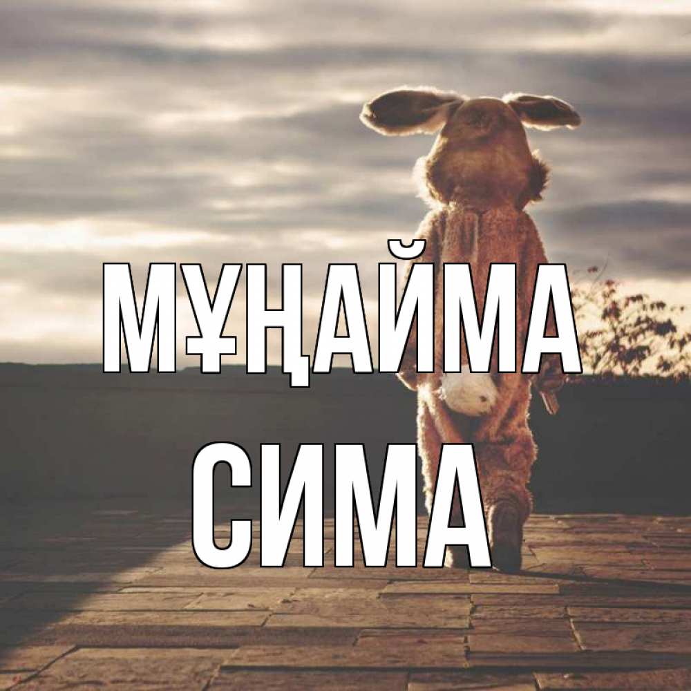 Күн сайын ашық хат с именем, Сима Мұңайма со спины Онлайн тегін жүктеп алу тілектері бар керемет карта 