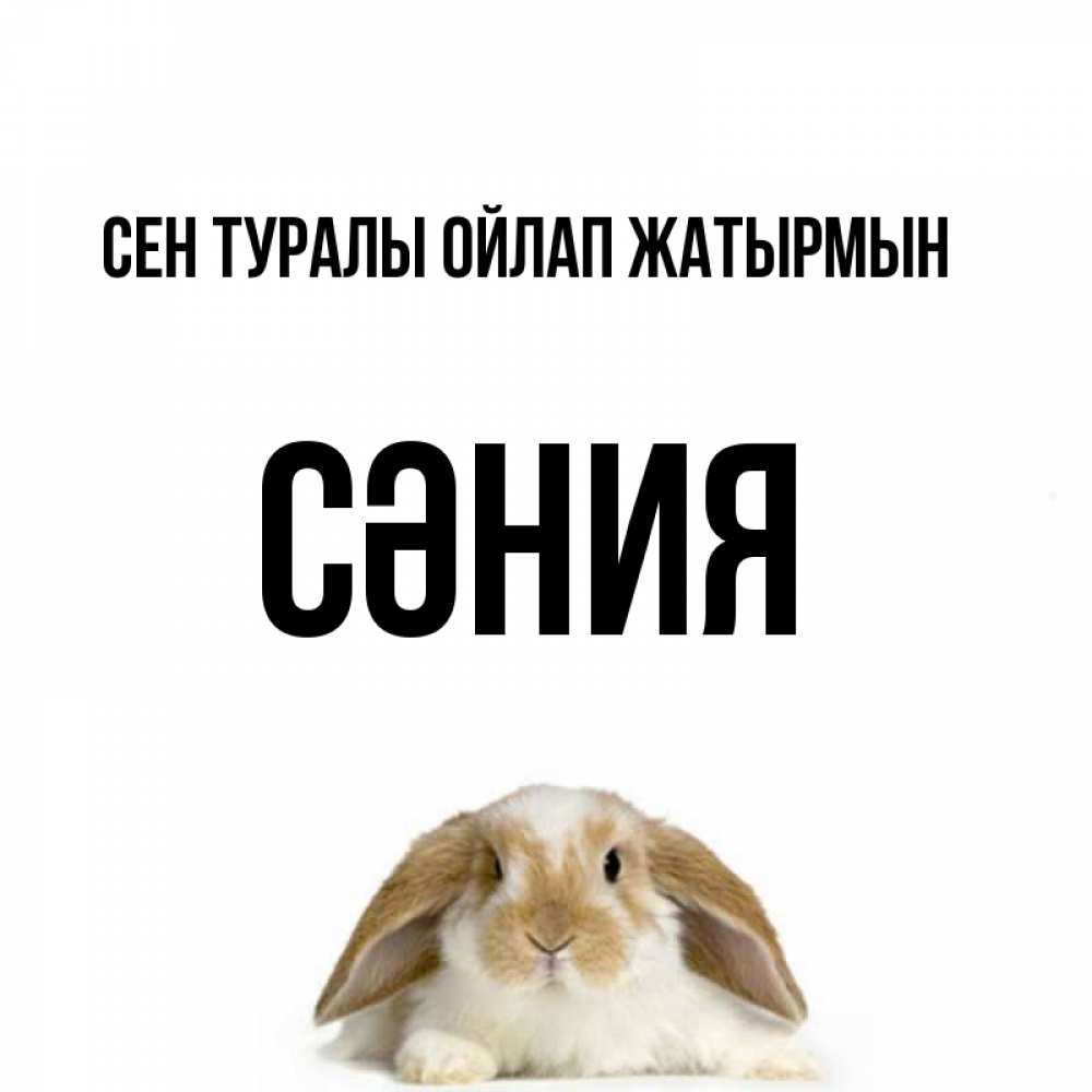 Күн сайын ашық хат с именем, СӘНИЯ Сен туралы ойлап жатырмын подписать своими руками онлайн Онлайн тегін жүктеп алу тілектері бар керемет карта 