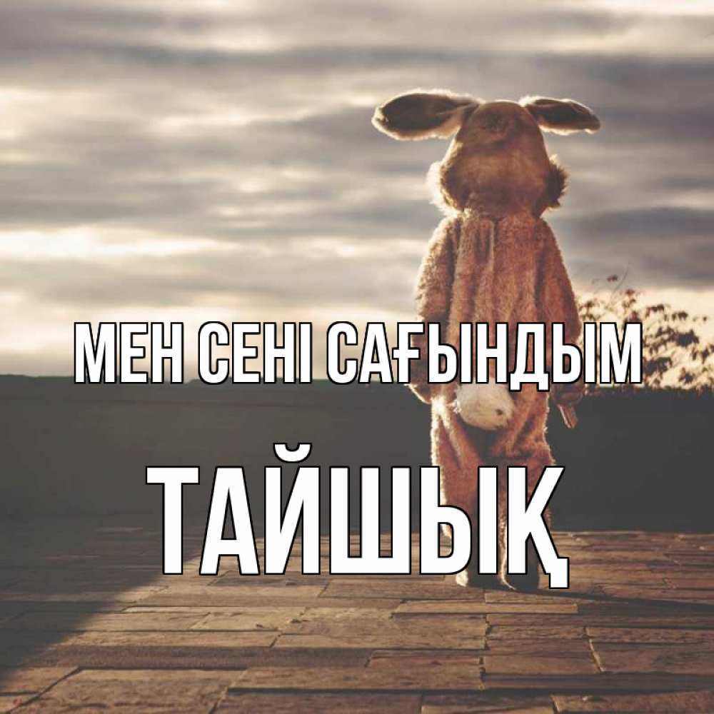 Күн сайын ашық хат с именем, ТАЙШЫҚ Мен сені сағындым даже в костюме зайца Онлайн тегін жүктеп алу тілектері бар керемет карта 