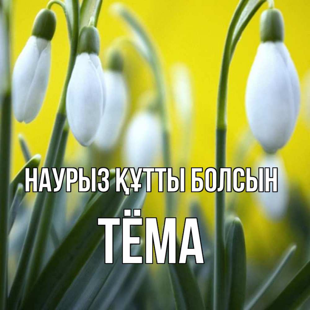 Күн сайын ашық хат с именем, Тёма Наурыз құтты болсын весенние цветы Онлайн тегін жүктеп алу тілектері бар керемет карта 