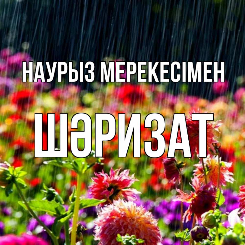 Күн сайын ашық хат с именем, ШӘРИЗАТ Наурыз мерекесімен цветы под дождиком к международному женскому дню Онлайн тегін жүктеп алу тілектері бар керемет карта 