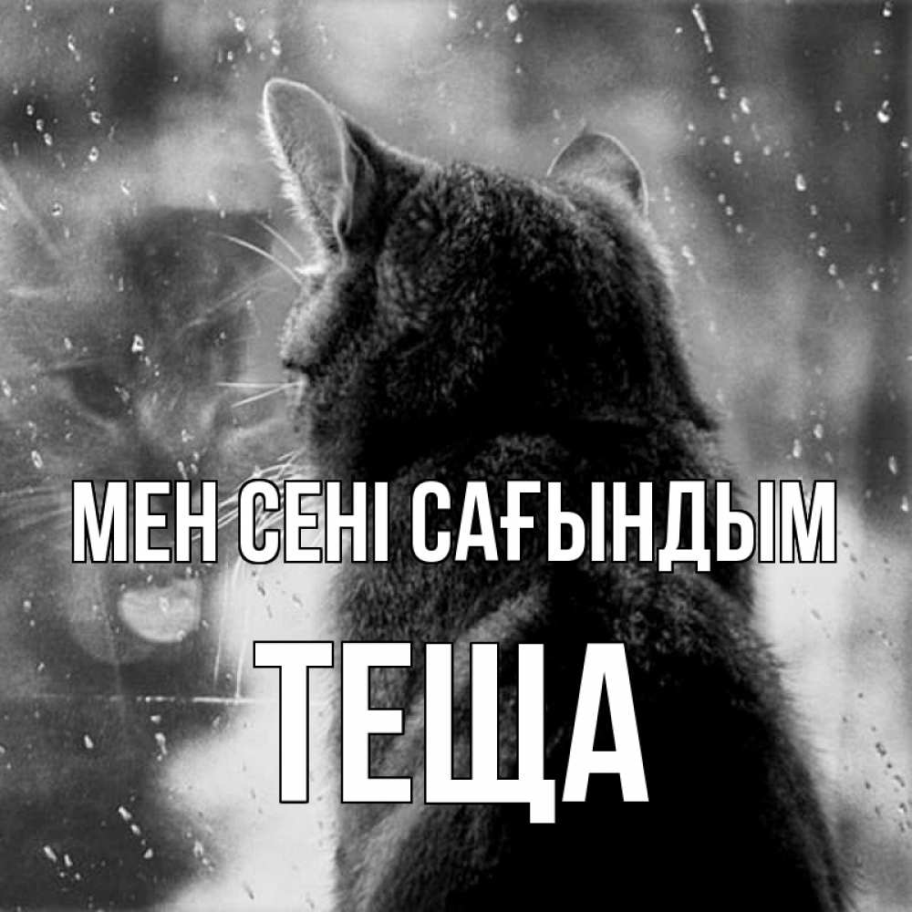 Күн сайын ашық хат с именем, Теща Мен сені сағындым скорее ко мне приходи 1 Онлайн тегін жүктеп алу тілектері бар керемет карта 