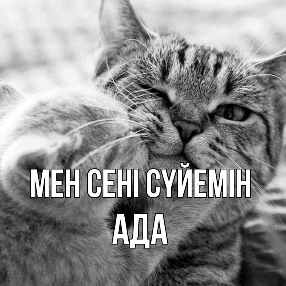 Күн сайын ашық хат с именем, Ада Мен сені сүйемін коты Онлайн тегін жүктеп алу тілектері бар керемет карта 