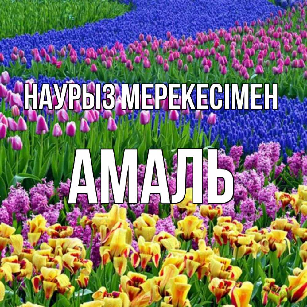 Күн сайын ашық хат с именем, Амаль Наурыз мерекесімен цветы Онлайн тегін жүктеп алу тілектері бар керемет карта 