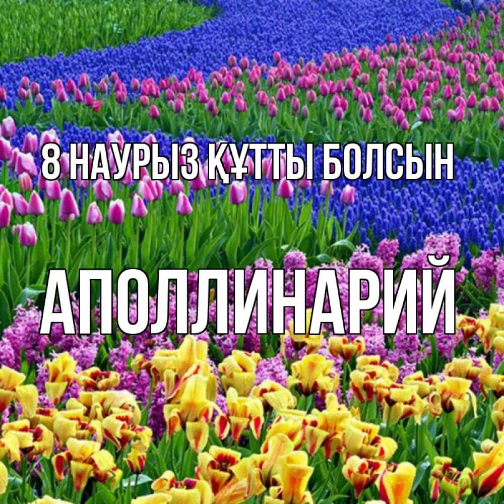 Күн сайын ашық хат с именем, Аполлинарий 8 наурыз құтты болсын цветы Онлайн тегін жүктеп алу тілектері бар керемет карта 