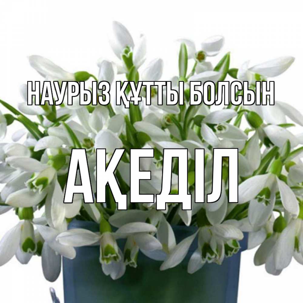 Күн сайын ашық хат с именем, Ақеділ Наурыз құтты болсын цветы к наурызу Онлайн тегін жүктеп алу тілектері бар керемет карта 