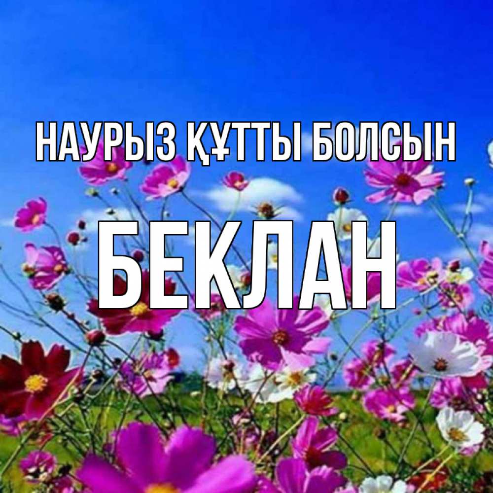 Күн сайын ашық хат с именем, Беклан Наурыз құтты болсын цветы Онлайн тегін жүктеп алу тілектері бар керемет карта 
