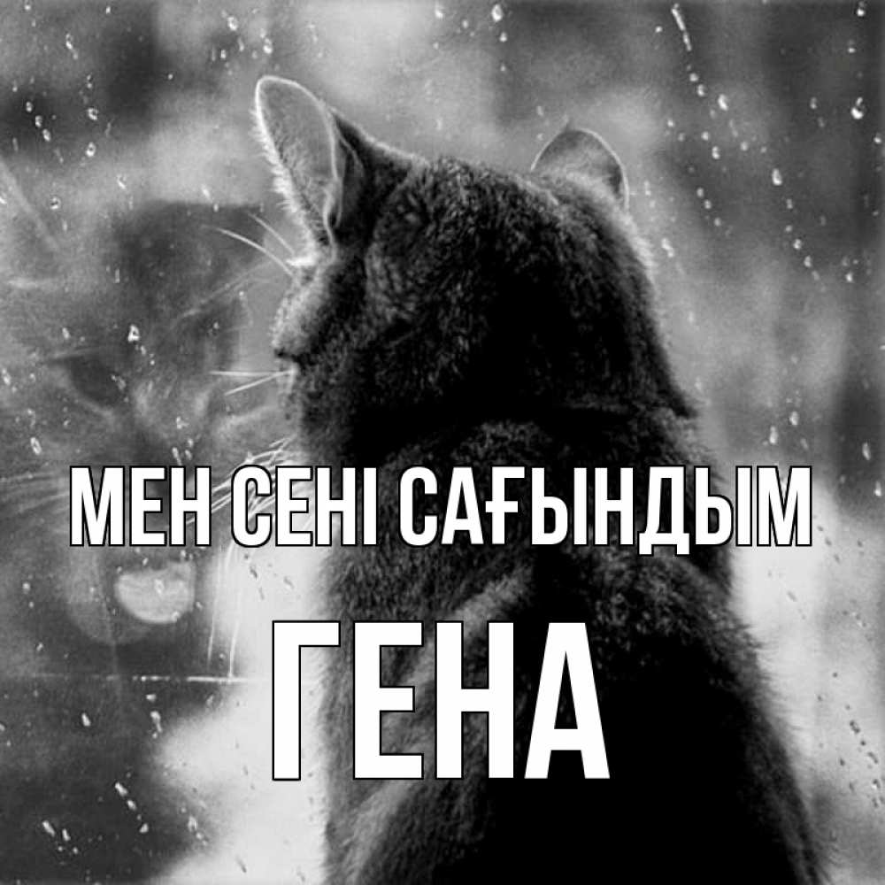 Күн сайын ашық хат с именем, Гена Мен сені сағындым скорее ко мне приходи 1 Онлайн тегін жүктеп алу тілектері бар керемет карта 