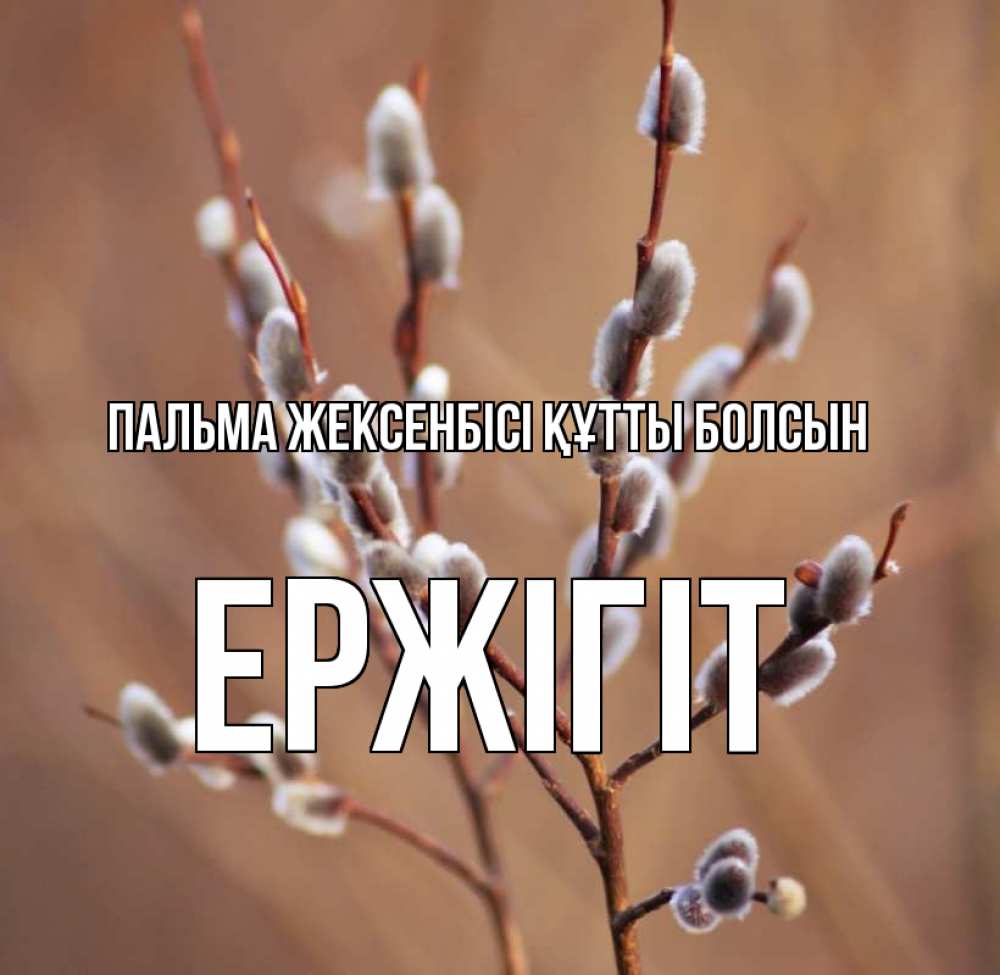 Күн сайын ашық хат с именем, Ержігіт Пальма жексенбісі құтты болсын верба Онлайн тегін жүктеп алу тілектері бар керемет карта 